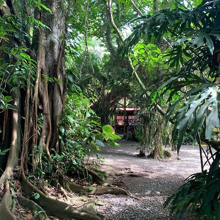 Hotel Brigitte´s Ranch Cahuita Esterno foto