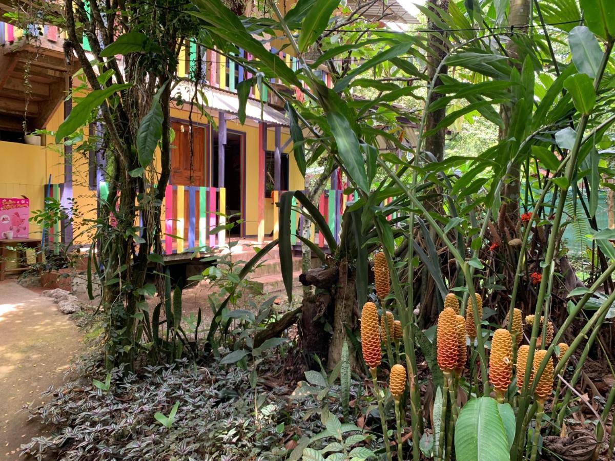 Hotel Brigitte´s Ranch Cahuita Esterno foto