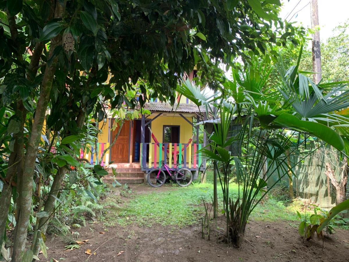 Hotel Brigitte´s Ranch Cahuita Esterno foto