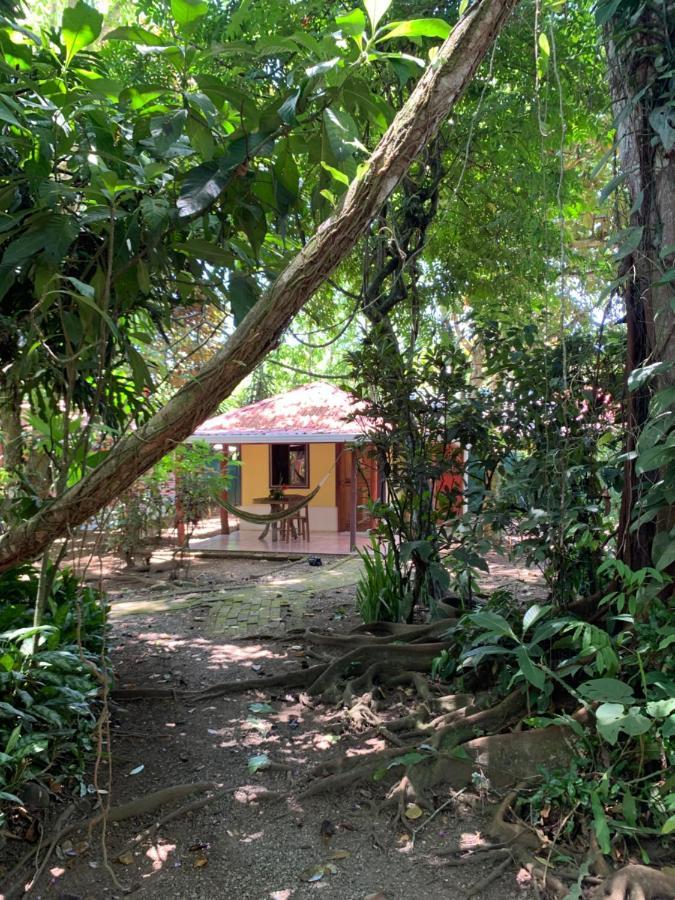 Hotel Brigitte´s Ranch Cahuita Esterno foto