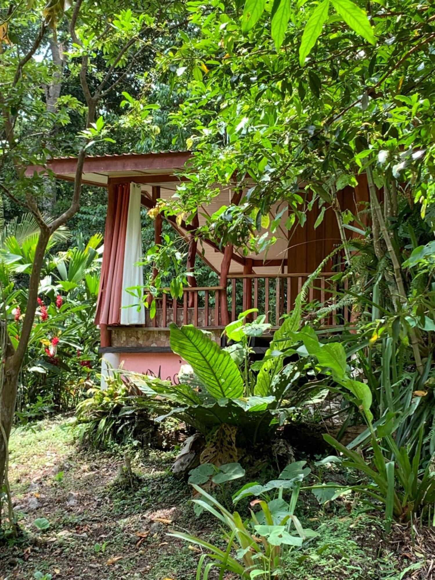 Hotel Brigitte´s Ranch Cahuita Esterno foto