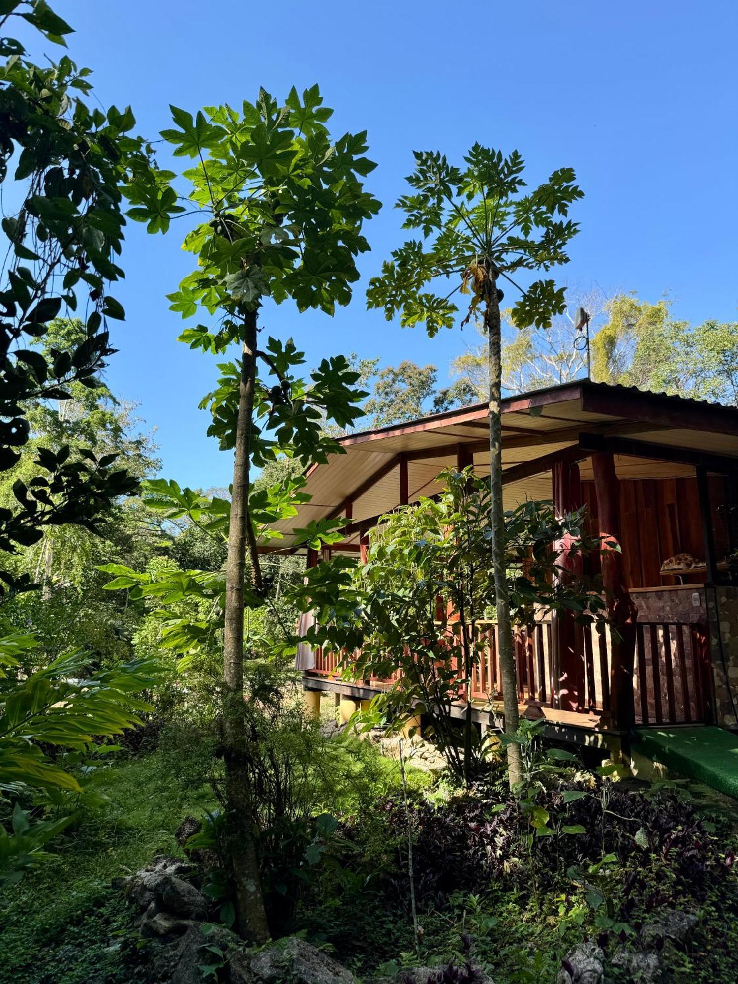 Hotel Brigitte´s Ranch Cahuita Esterno foto