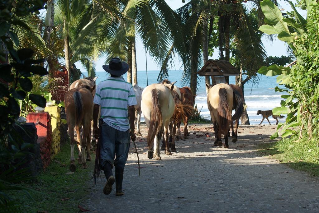 Hotel Brigitte´s Ranch Cahuita Camera foto