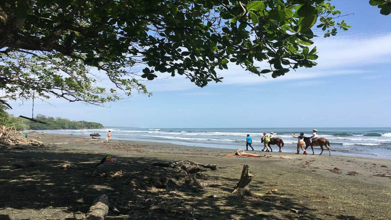 Hotel Brigitte´s Ranch Cahuita Esterno foto