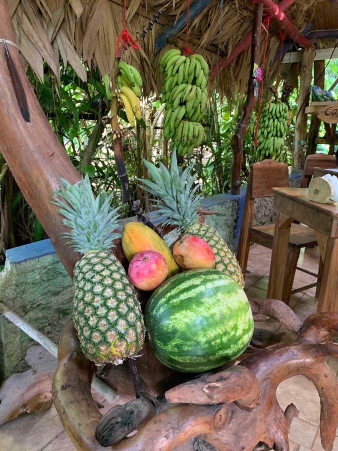 Hotel Brigitte´s Ranch Cahuita Esterno foto